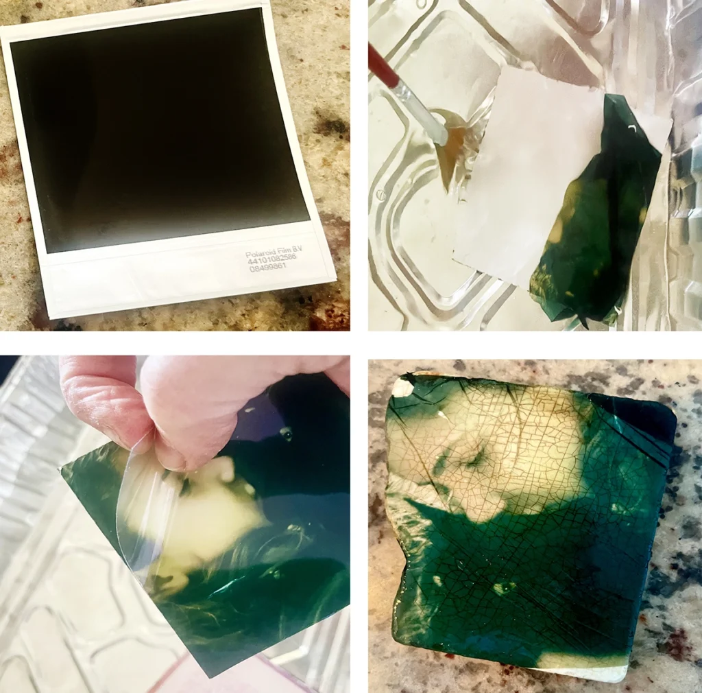 Exploring Artistic Expression Through Polaroid Emulsion Lifts