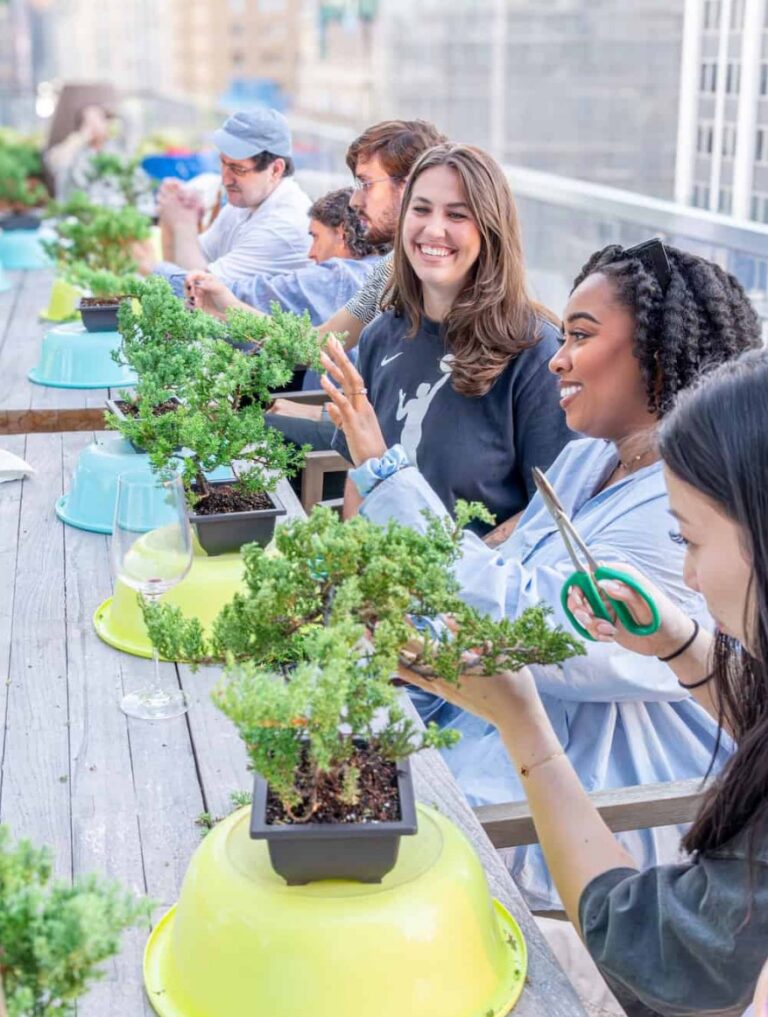 Bonsai making class