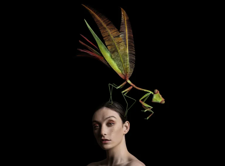 Model wearing a sculptural wire millinery headpiece featuring a colorful praying mantis with large, feather-like wings against a black background.